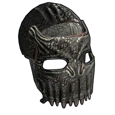 Skin's image