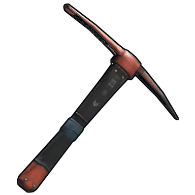 Skin's image