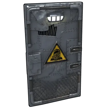 Skin's image