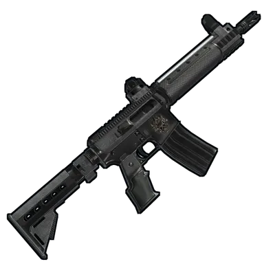 Skin's image