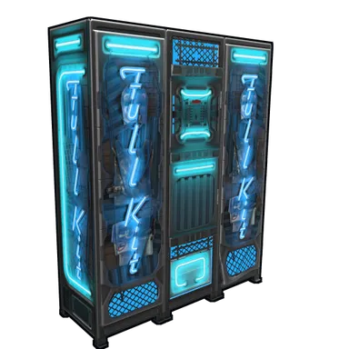 Skin's image