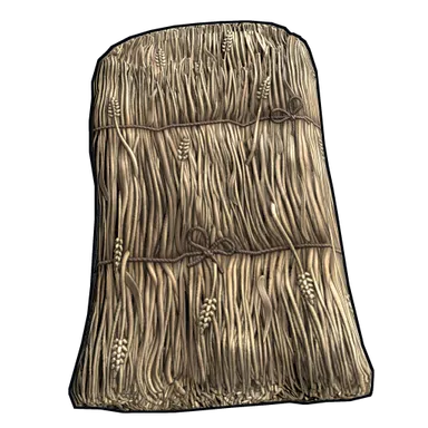Skin's image