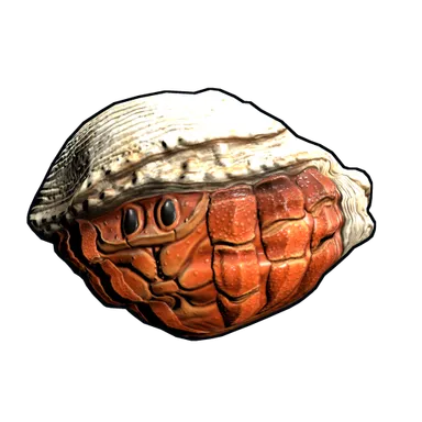 Skin's image