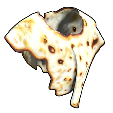 Skin's image
