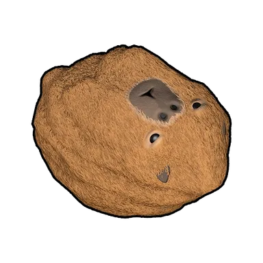 Skin's image
