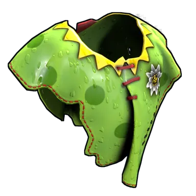 Skin's image