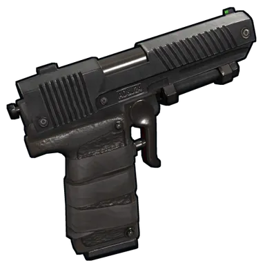 Skin's image