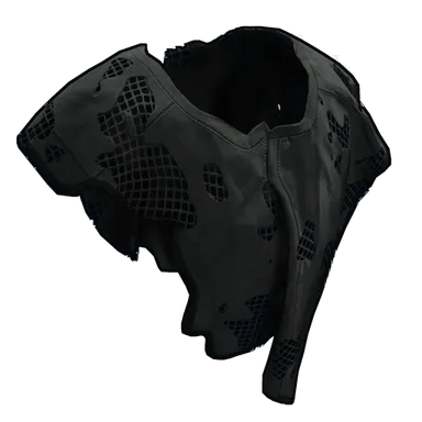 Skin's image