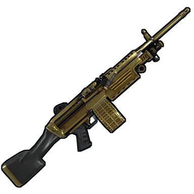 Skin's image