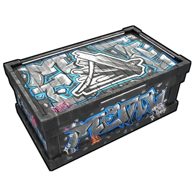 Skin's image