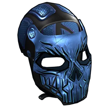 Skin's image
