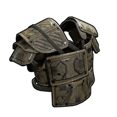 Skin's image