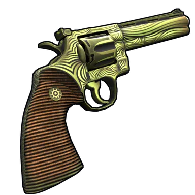 Skin's image