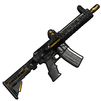 Skin's image
