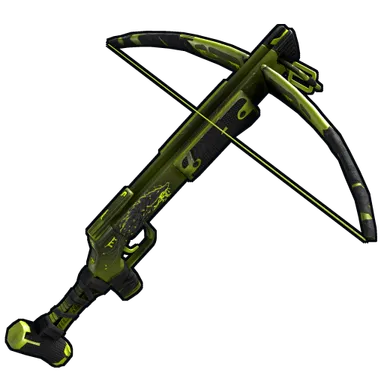 Skin's image