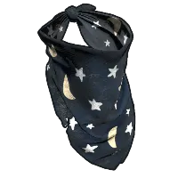 Skin's image