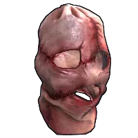 Skin's image