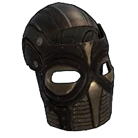 Skin's image