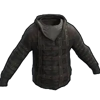 Skin's image