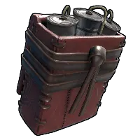 Skin's image