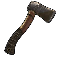 Skin's image