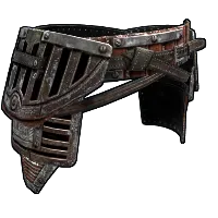 Skin's image