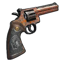 Skin's image