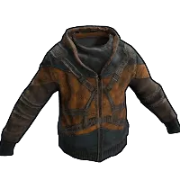 Skin's image