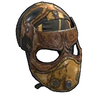 Skin's image