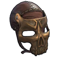 Skin's image