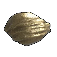 Skin's image