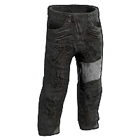 Skin's image