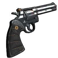 Skin's image