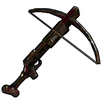 Skin's image
