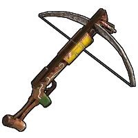 Skin's image