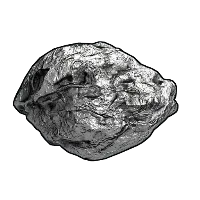 Skin's image