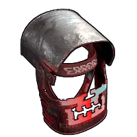 Skin's image
