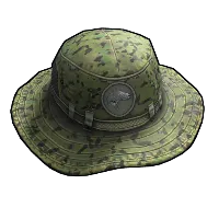 Skin's image