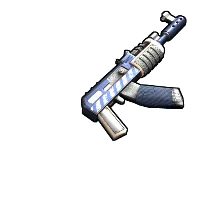 Skin's image
