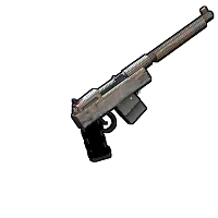 Skin's image