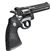 Skin's image