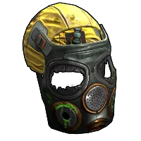 Skin's image