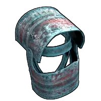 Skin's image