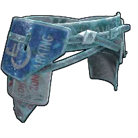 Skin's image