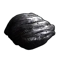 Skin's image
