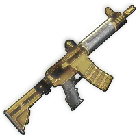 Skin's image