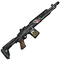 Skin's image