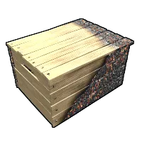 Skin's image