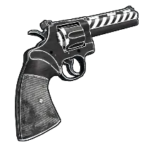 Skin's image