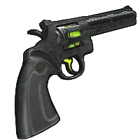 Skin's image